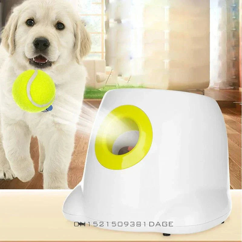 Small dog with tennis ball toy and pet ball machine in cozy room.