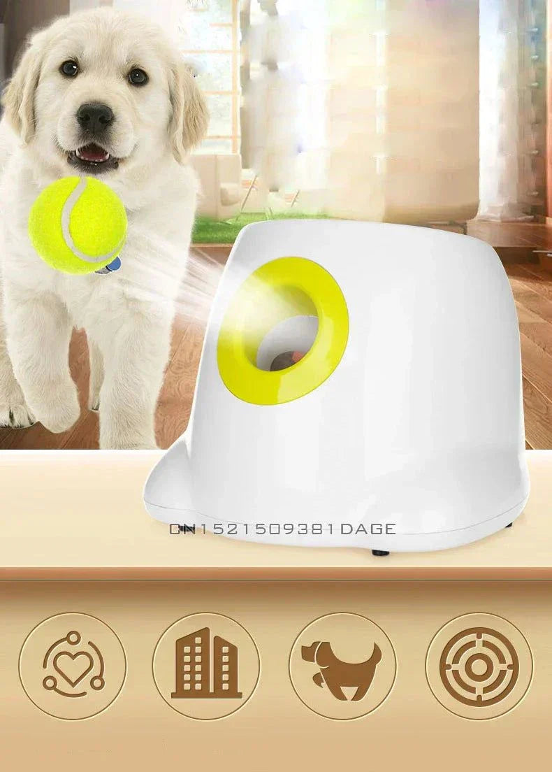 Dog playing with a small tennis ball next to an automatic ball launcher indoors.